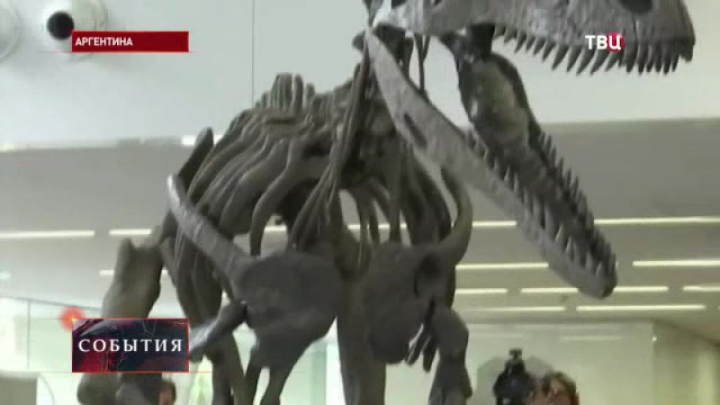 Аргентинские ученые открыли новый вид динозавров