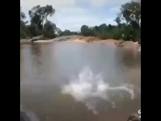 Жадная поклёа