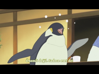 [uragirisubs] shirokuma cafe 22 [720p]