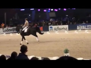 Edward gal met totilas op zwolle international deel 3