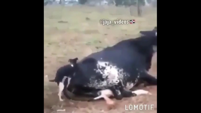 Размер не имеет значения