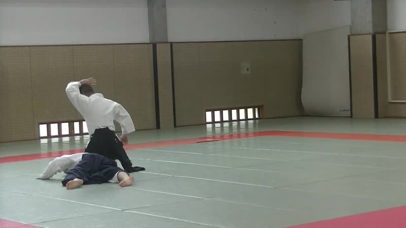 Дайто рю айки дзюдзюцу кавабэ ха 2019 4 29