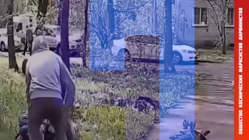 Старики разбойники по колпински окрестности расчленинграда