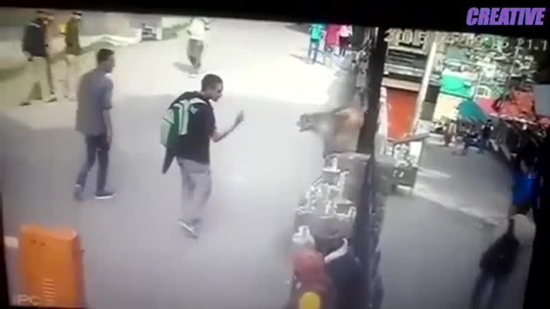 Зря быканул