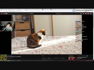 [реакции братишкина] братишкин смотрит вот что мы купили на aliexpress!