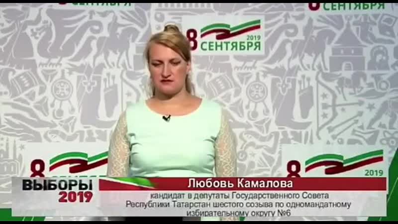 Предвыборная кампания