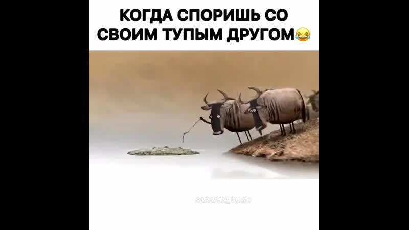 Когда споришь со своим тупым другом