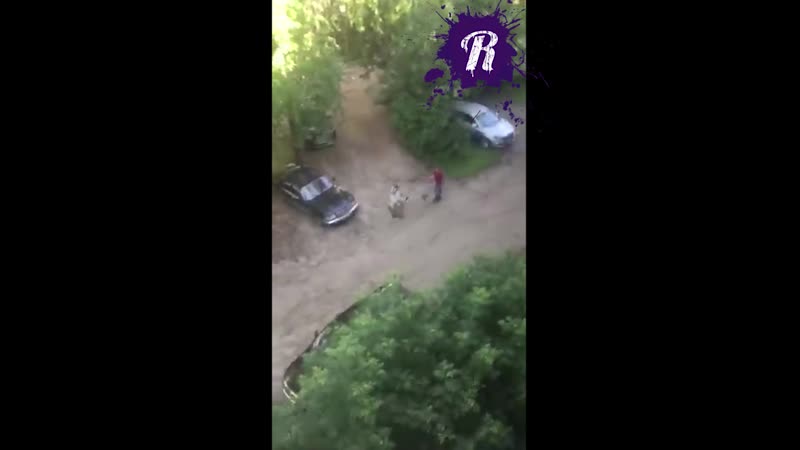 Дворовый файт