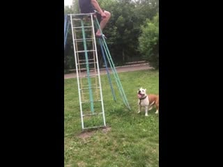 Warrior spirit honey blossom ( рой ) ( ghw ureula vennidor sozvezdiye magii zhemchuzhnyy amulet )