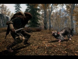 The elder scrolls v skyrim пробник вписка прописка