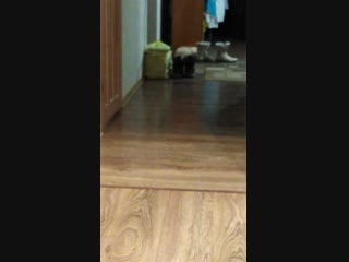 Vid 20190124 231133 mp4