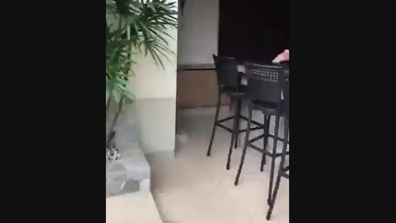 По уй пляшем ) )