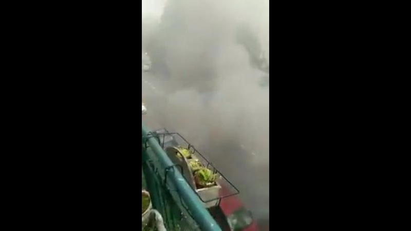 Европейский гамбург сейчас шины, коктейли, поджоги и мародерство #1
