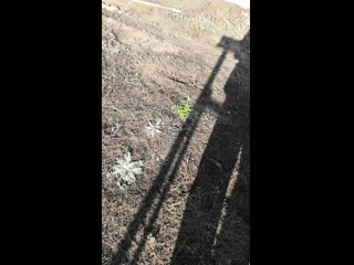 Vid 20201113 110938 mp4