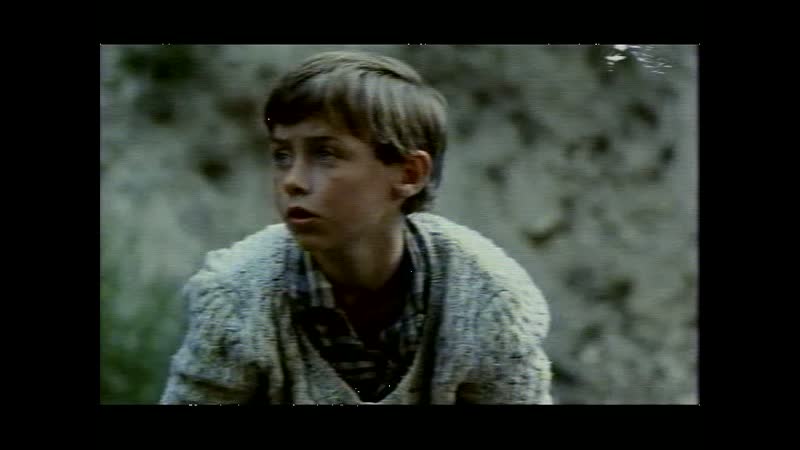 Лисья молодые / le sang du renard / das blut des fuchses (1996 франция) драма секс в кино режиссер серж мейнард / serge meynard