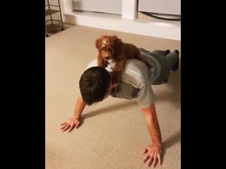 Igor shesterkin's secret to success? push pups 🐶