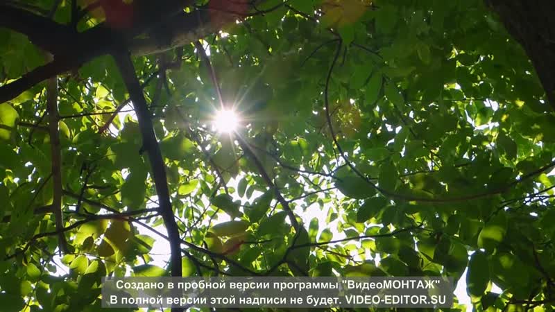 Медитация маленькими шагами