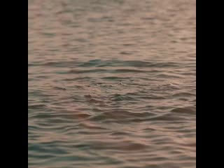 Korres athens 20201008 1 mp4