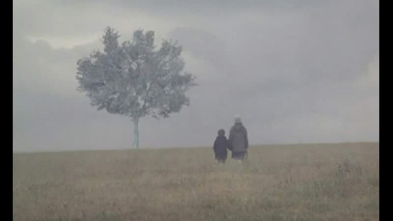 Пейзаж в тумане / topio stin omichli / landscape in the mist 1988