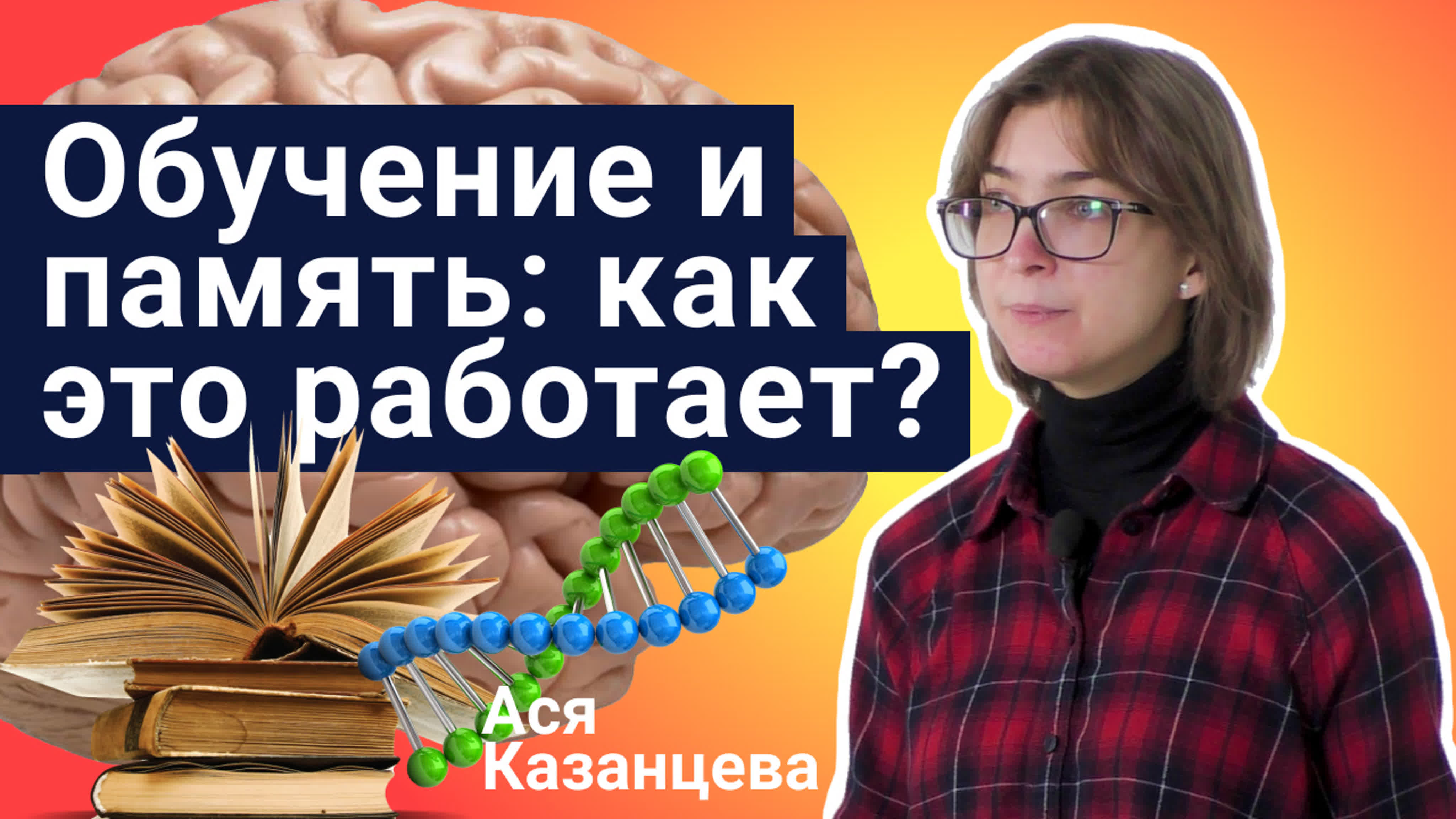 Ася казанцева обучение и память как это работает?