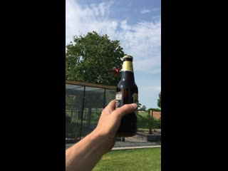 Jimmy, my greenwing macaw opening a beer bottle