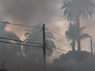 Ползуны (2003 г )