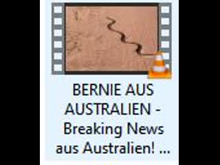 Bernie aus australien breaking news aus australien! man spricht vom pass!!!