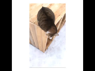 Красавица глаша💕