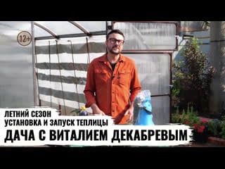 Устаноа и запуск теплицы // выращиваем томаты // дача с виталием декабревым // серия 74