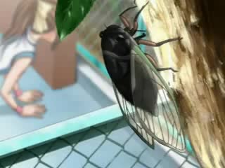 Цвет неба, цвет воды \ sora no iro, mizu no iro серия 2