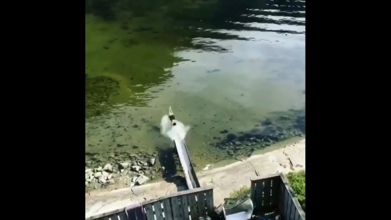 Экстримальная водная горка