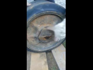 Vid 20190506 192056 mp4