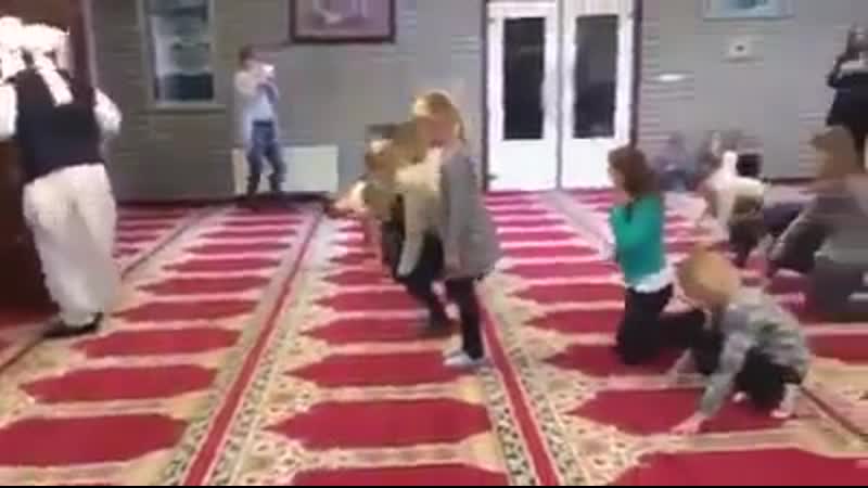 Sweet non muslim porn visit mosque to learn how muslims prey watch  