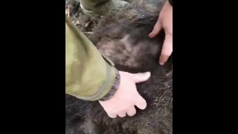 Последствие боев gjcktlcndbt,jtd