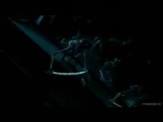 ★ ★ ★ porn presents ★ ★ ★ pirates 2, part 2 ★ ★ ★