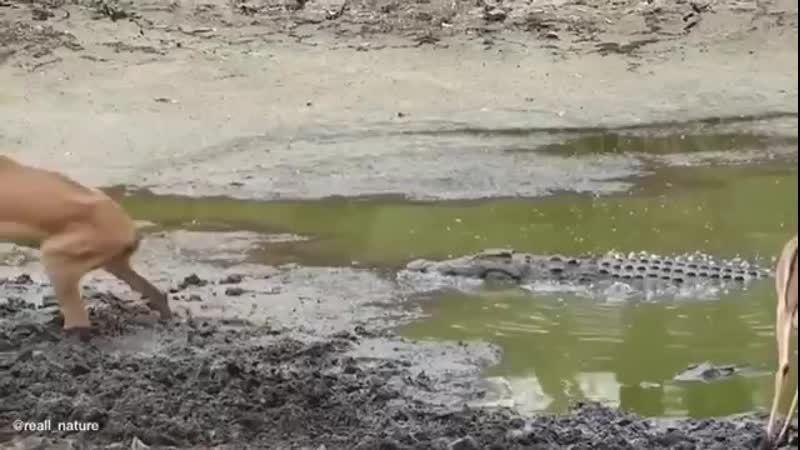 Водички она решила попить)))