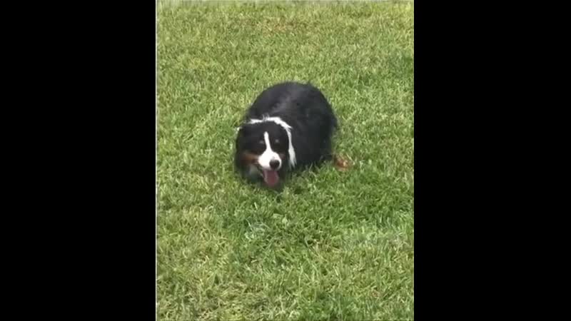 Подойди поближе