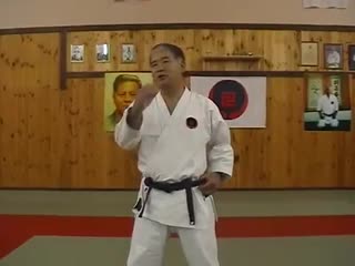 Dojo respect sensei morio higaonna