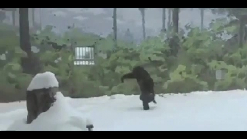 Да ну нафиг