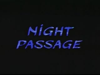 Night passage (2004) dir trinh t minh ha, jean paul bourdier