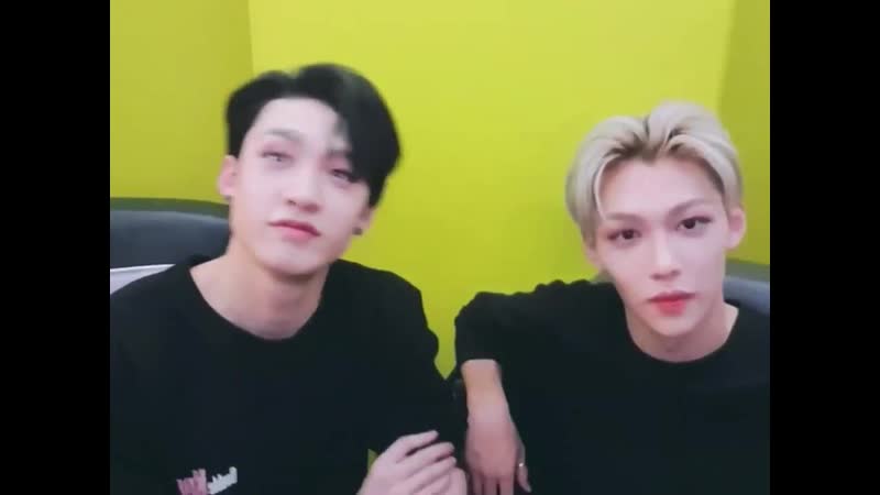 Стрей кидс любят блэкпинк