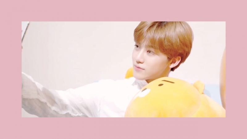 Nomin videoblogger!au [vlog] fmv [pt 2]