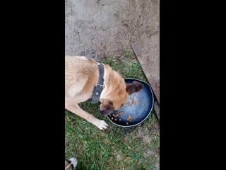 Video 20191107 133157 mp4