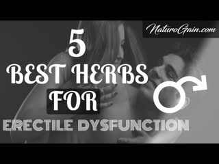 5 best herbs for erectile dysfunction