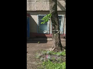 Vid 20200603 105425 mp4