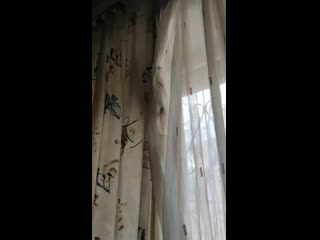 Vid 20201021 124959 mp4