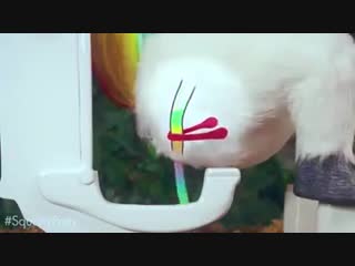 Jose maria f del blanco quería comentar algo sobre este me ha dejado sin palabras 🤣🤣🤣🤣🤣🤣🤣🤣🤣 mp4