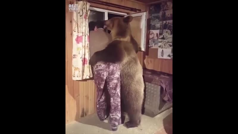 Мишка всегда поддержит