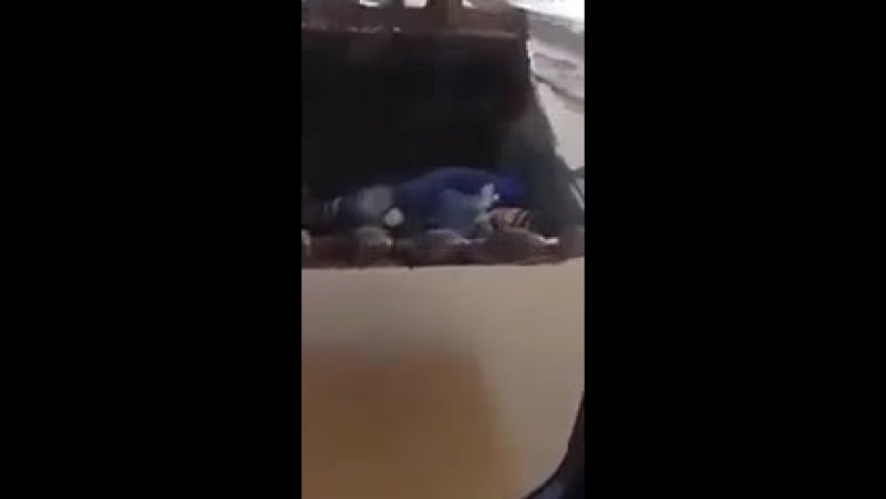 3 метра над уровнем лужи © видеожесть