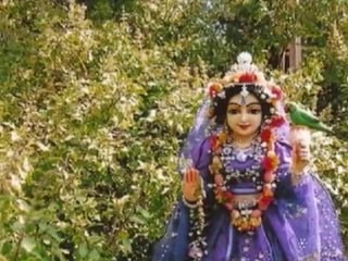 Tulasi maharani krishna premi dasi